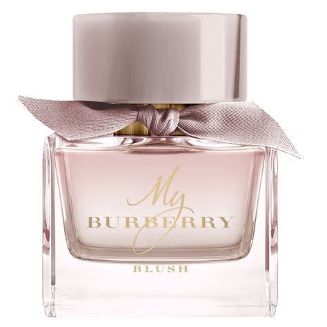 what does my burberry blush smell like|fragrantica black burberry for women.